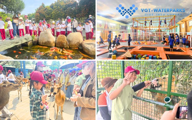 Các hoạt động tại Mỹ Quỳnh Safari